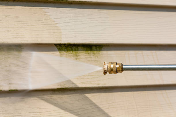 Best Best Pressure Washing Companies  in Potomac Heights, MD