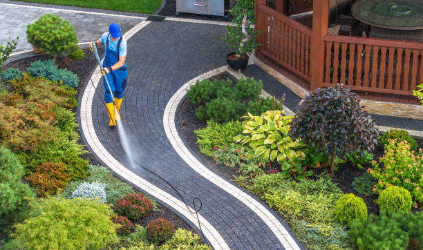 Best House Pressure Washing  in Potomac Heights, MD