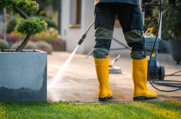 Best Affordable Pressure Washing  in Potomac Heights, MD